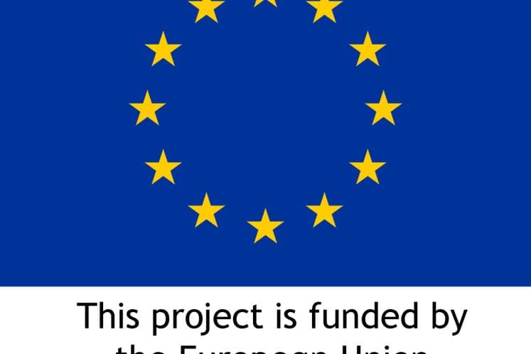 Best Practices Day: MSCA Call for Individual Fellowships