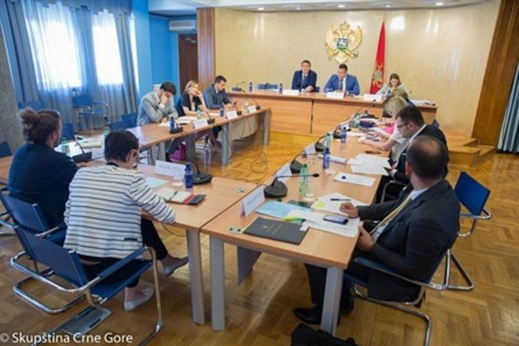 Chief Negotiator Drljević takes part in session of Committee on European Integration