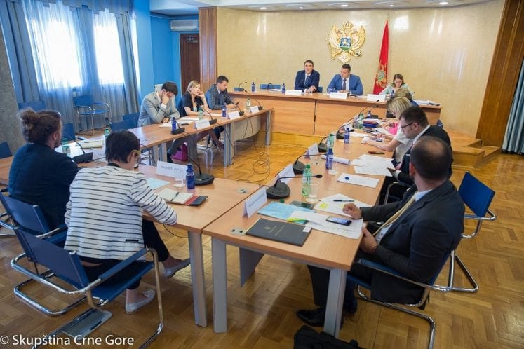 Glavni pregovarač Drljević učestvovao u radu sjednica Odbora za evropske integracije