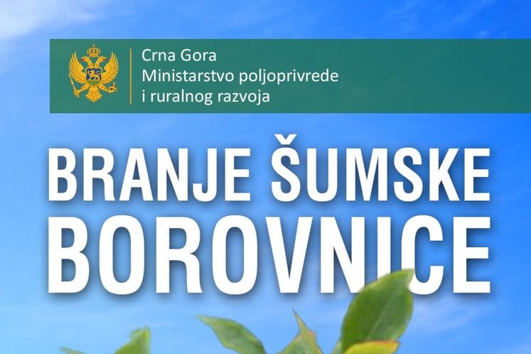 Brošura - Branje šumske borovnice