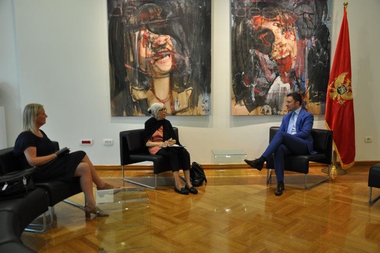 Ministar Bogdanović-ambasadorka Davije: U oktobru u Crnoj Gori o nelegalnoj trgovini kulturnim dobrima