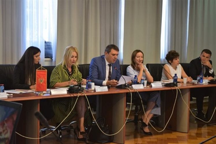 Chief Negotiator Aleksandar Drljević: Montenegro devoted to fulfilling the finishing scales for more chapters