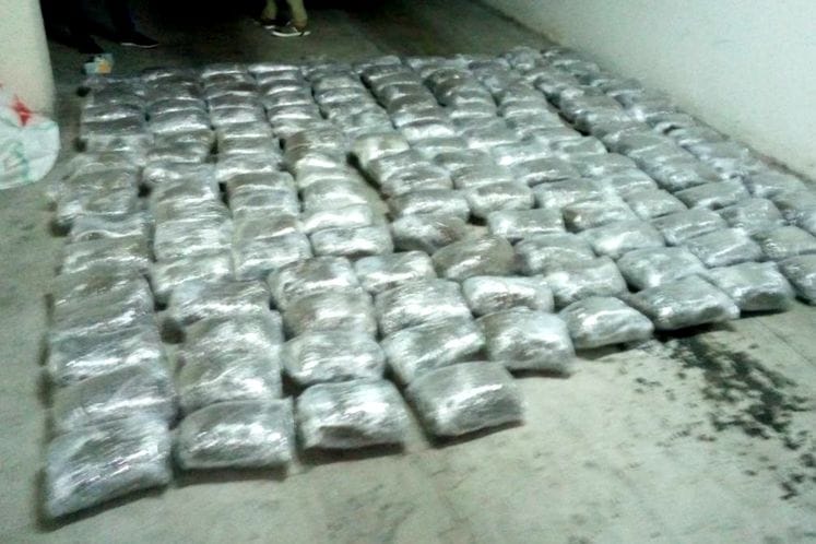 Uspješne policijske aktivnosti u borbi protiv droge – na Skadarskom jezeru spriječeno krijumčarenje 172 kg skanka a u Budvi ulična prodaja 1,73 kg marihuane
