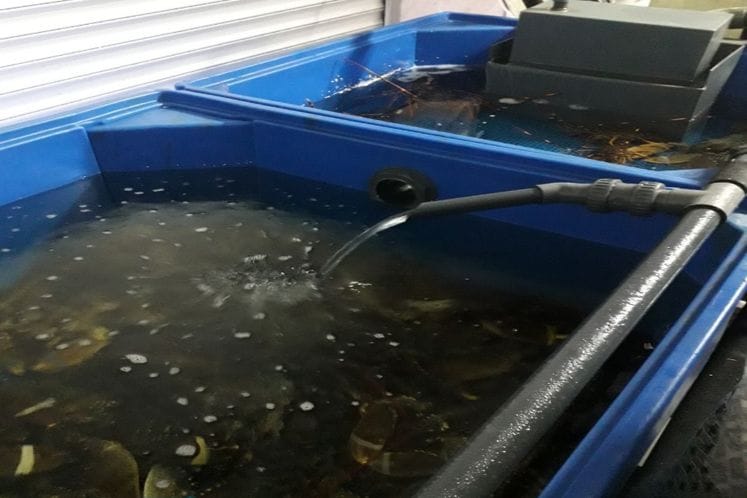 TAIEX ekspretska misija za kontrolu proizvodnje školjki