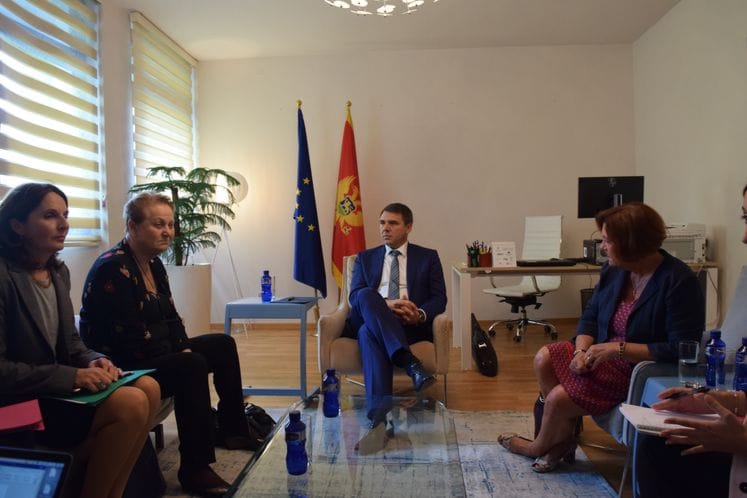 Drljević with French MPs: Parliament is of great importance for negotiation process