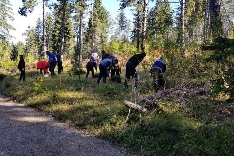 Pošumljavanje i suzbijanje bespravnih aktivnosti prioriteti