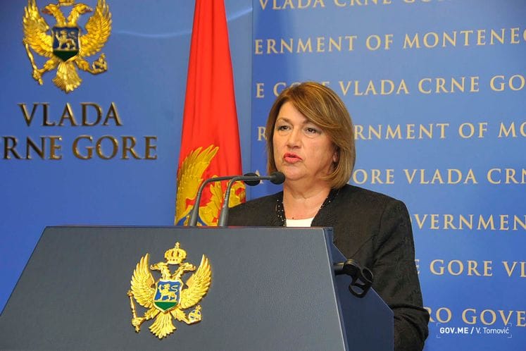 Vučinović - Mulić najavili kampanju: „Dani smanjenja rizika od katastrofa 2019, budi odgovoran – smanji rizik”