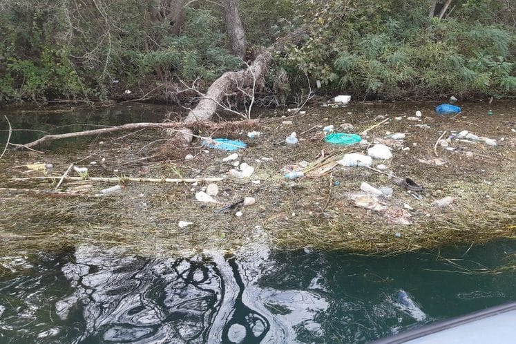 Uginula živina i dalje pluta po Bojani, jasno da je riječ o prekograničnom problemu