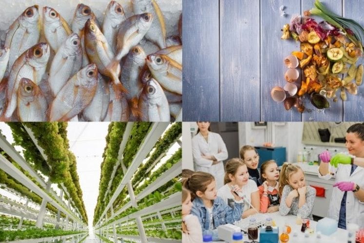 Besplatni onlajn kursevi iz nauke o hrani – EIT Food