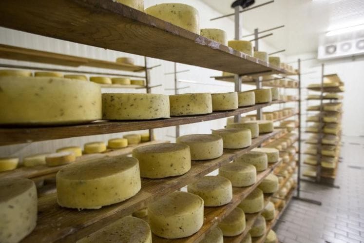 Uz podršku IPARD-a postali lider na tržištu - Iskustvo sirare „Monte Bianco“