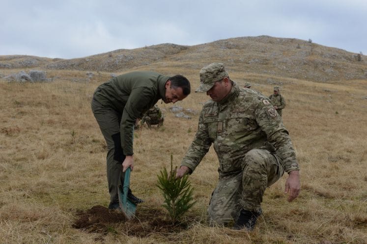 Vojska Crne Gore počela sa pošumljavanjem Sinjajevine