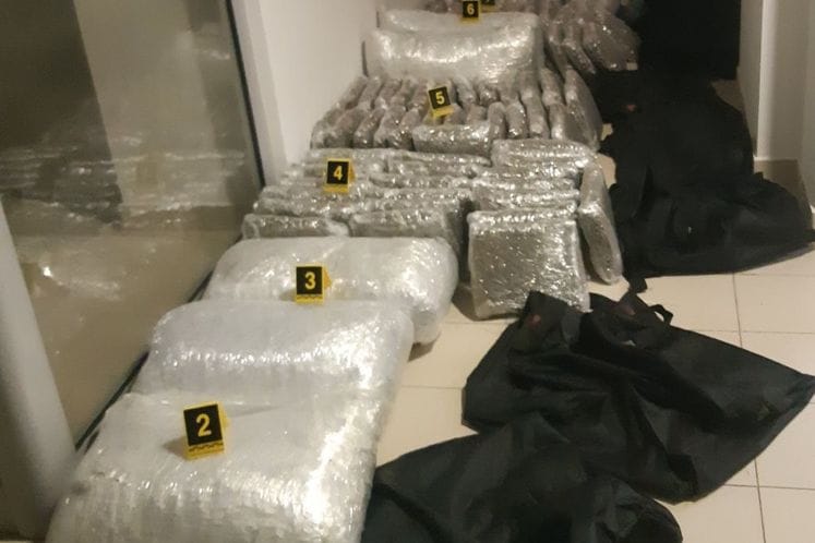 Zaplijenjeno 374 kilograma marihune; osumnjičeni lišen slobode