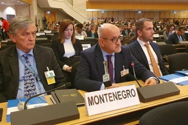 FM Darmanović in Geneva: Montenegro continues to be reliable partner to international community in finding answers and solutions to care most vulnerable