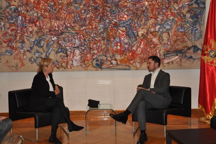 Interesovanje za koprodukciju za snimanje i izradu animiranog filma