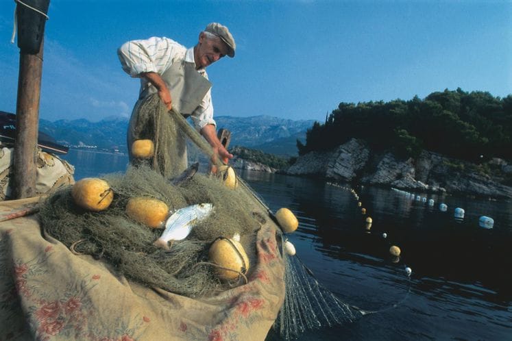 Crnogorskim ribarima i uzgajivačima bespovratna podrška za investicije