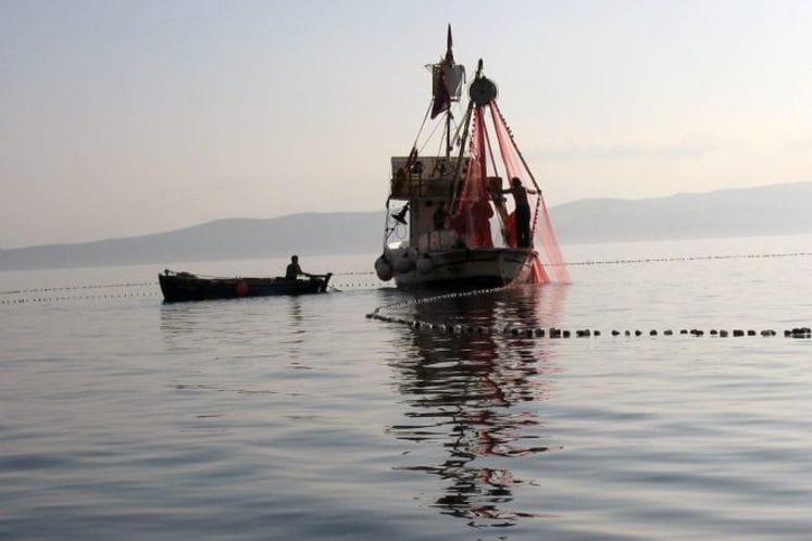 Javni poziv za dodjelu podrške za modernizaciju profesionalne ribolovne flote za ulov pelagičnih resursa za 2019.