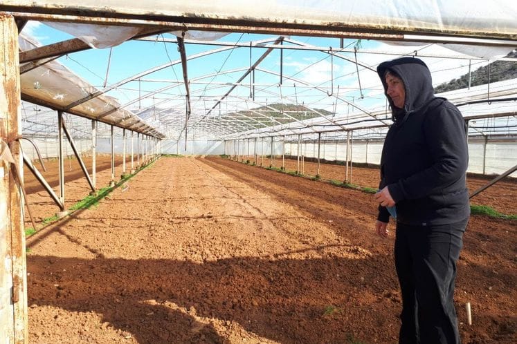 I pored preventivnog djelovanja, vjetar izazvao štete na pojedinim plastenicima i objektima