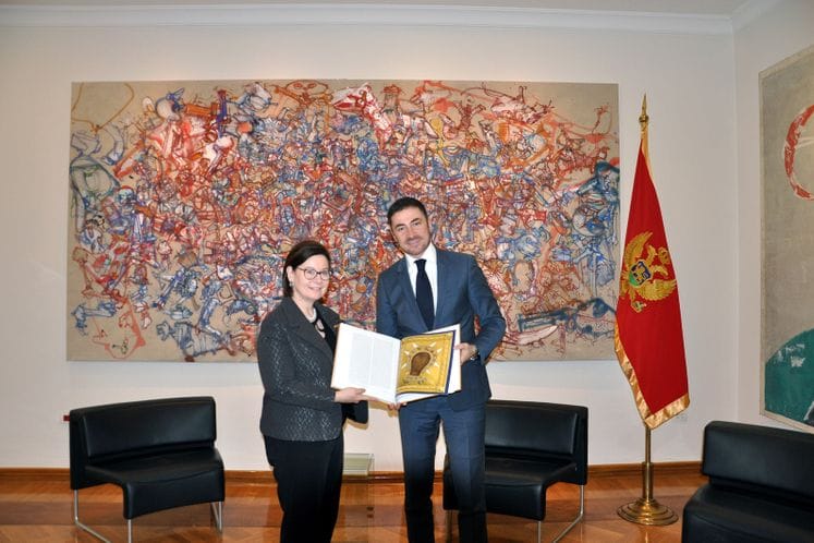 Ministar Bogdanović - ambasadorka Rajnke: Crna Gora i SAD posvećeno rade na unaprijeđenju odnosa u oblasti kulture