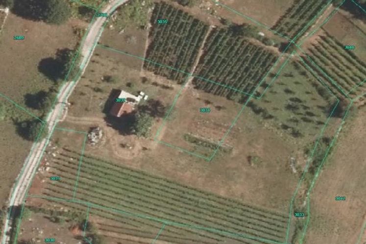 Javni poziv za dodjelu podrške za direktna plaćanja za višegodišnje zasade za 2019. godinu