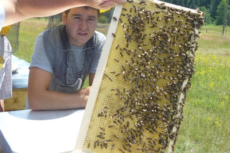 Održana radionica za pčelare zainteresovane za organsku proizvodnju meda i pčelinjih proizvoda