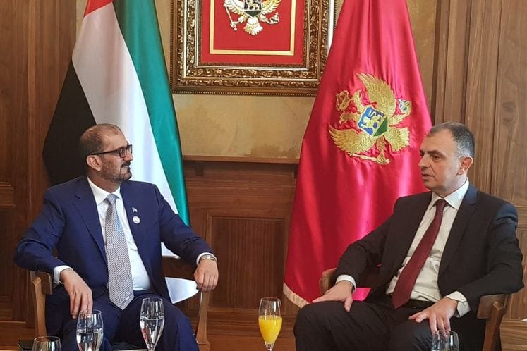 Ministar Hrapović s ministrom obrazovanja UAE: Intenzivirati saradnju u oblasti zdravstva