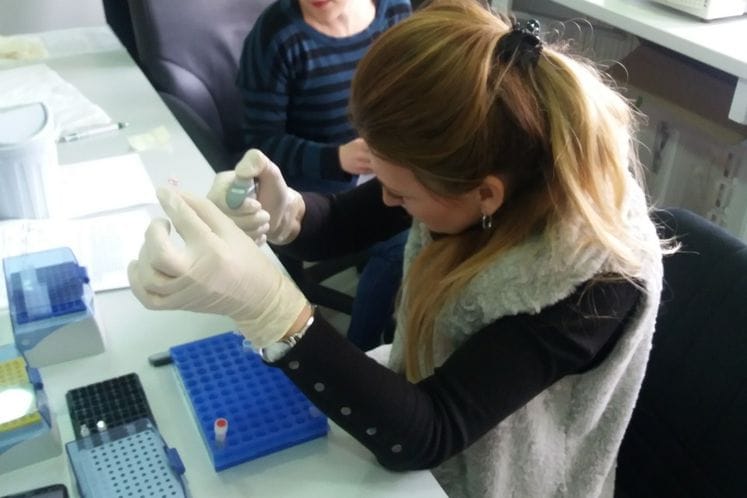 Saopštenje: Održana ekspertska misija na temu Pseudomonas syringae pv. actinidiae