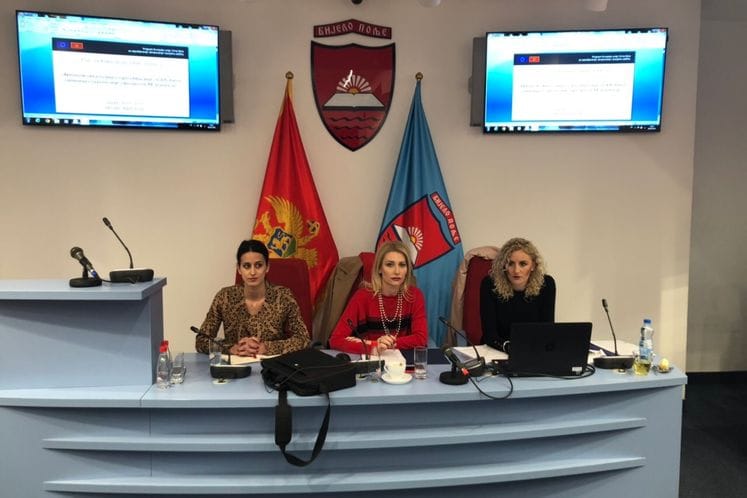 Održani info dani za pozive za dodjelu bespovratnih sredstava u okviru Programa EU i Crne Gore za zapošljavanje, obrazovanje i socijalnu zaštitu