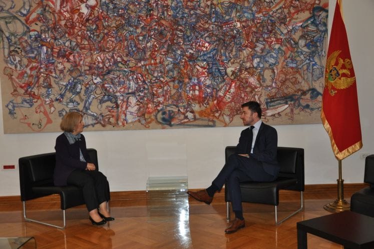 Ministar Bogdanovic razgovarao sa novoimenovanom ambasadorkom Turske Ozan