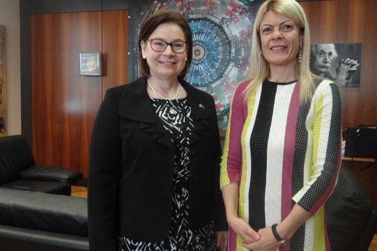 Damjanović – Reinke meeting