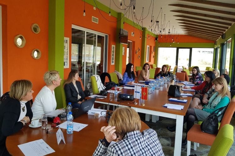 Podrška izradi lokalnih akcionih planova za rodnu ravnopravnost –Rožaje, Mojkovac, Cetinje