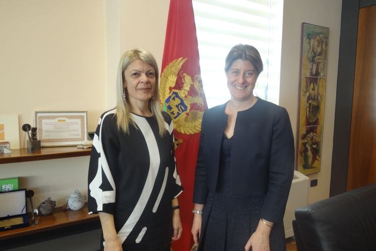 Damjanović-Kemp: Further activities to be taken with a view to obtaining new support for SEEIIST project