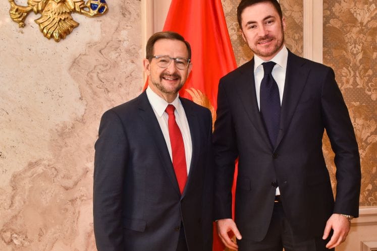 Ministar Bogdanović - generalni sekretar OEBS-a Greminger: Ministarstvo kulture ostvarilo značajan napredak na unapređenju normativnih propisa