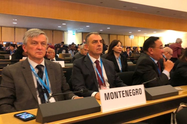 Ministar Hrapović na Skupštini SZO u Ženevi