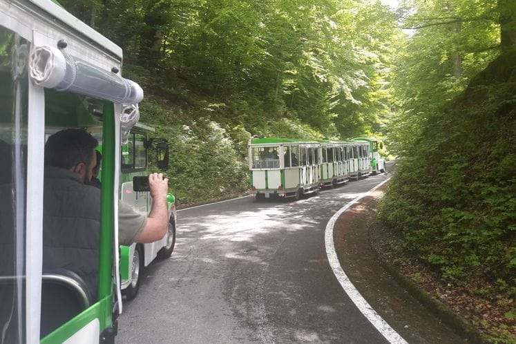 Biogradska gora bogatija za dva turistička voza