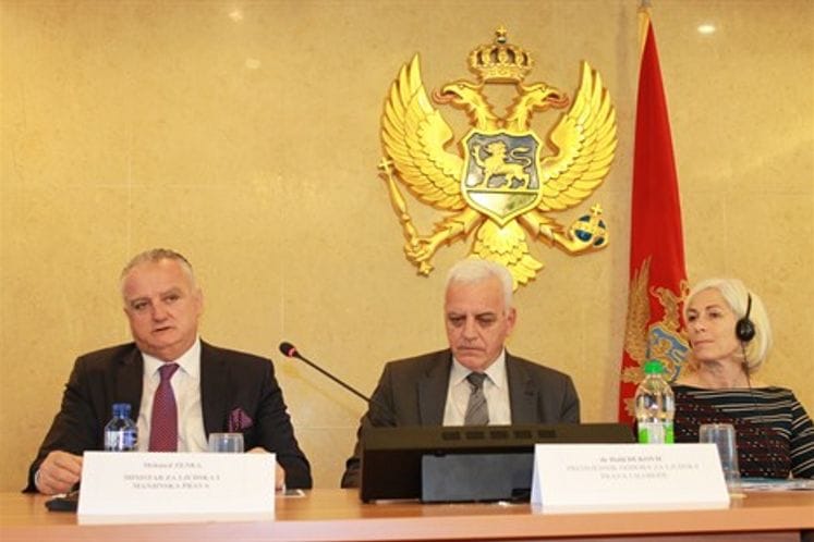 Zenka:Improving the position of Roma in the field of education and employment needs a systematic approach