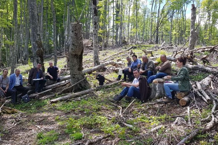 Sjednica međuresorskog tima za suzbijanje bespravnih aktivnosti u šumarstvu na terenu: Bespravna sječa u Andrijevici kod državnog tužilaštva