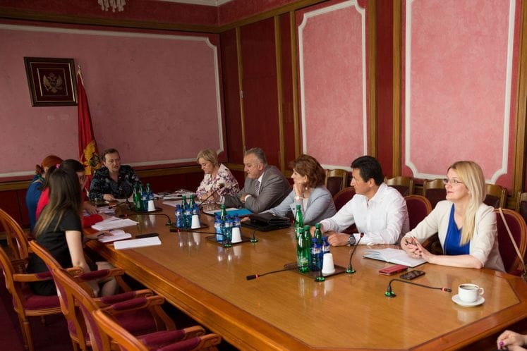 Razmotren Izvještaj Crne Gore o implementaciji Pekinške deklaracije i Platforme za akciju (BpfA) i Agende za održivi razvoj 2030 (AGENDA 2030)