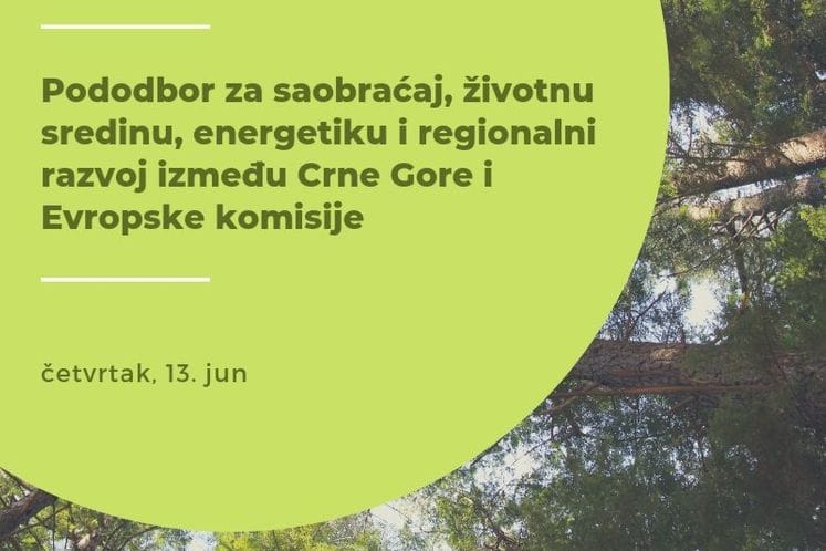 Pododbor za saobraćaj, životnu sredinu, energetiku i regionalni razvoj između Crne Gore i Evropske komisije