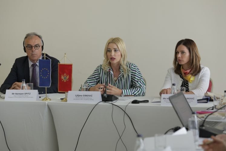 Nastavlja se intezivan rad na sprovođenju programa iz pretpristupnih fondova EU u oblasti zapošljavanja, obrazovanja i socijalne zaštite