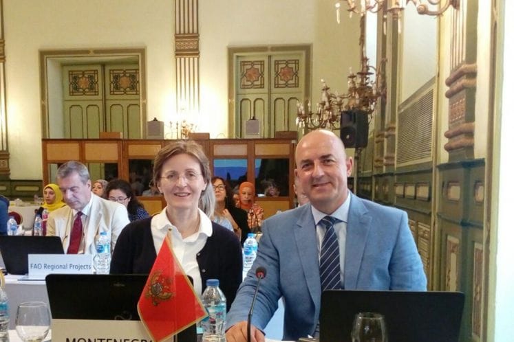 Aktivnosti Naučnog komiteta GFCM značajne za dalji razvoj crnogorskog ribarstva