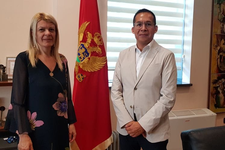 Damjanović – Salinas meeting