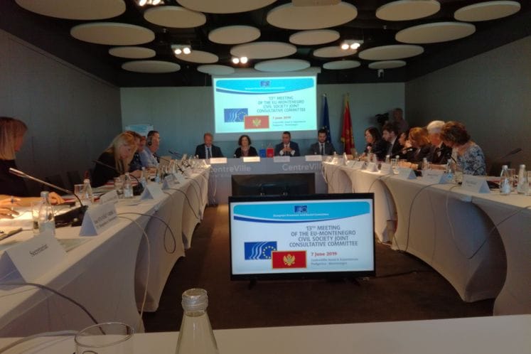 Hajduković na sastanku Zajedničkog konsultativnog odbora Evropske unije i Crne Gore