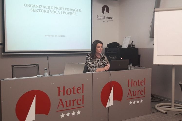 Održana radionica na temu organizovanja proizvođača u sektoru voća i povrća