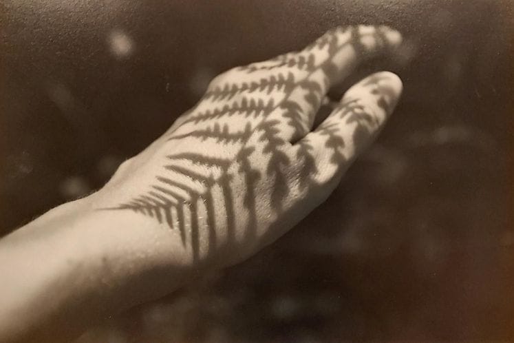 Izložba fotografija “Crno-bijeli ženski ram” večeras u Ministarstvu kulture