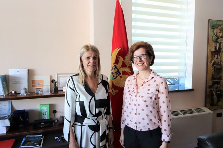 Minister Damjanović meets UNDP Resident Representative to Montenegro Daniela Gasparikova