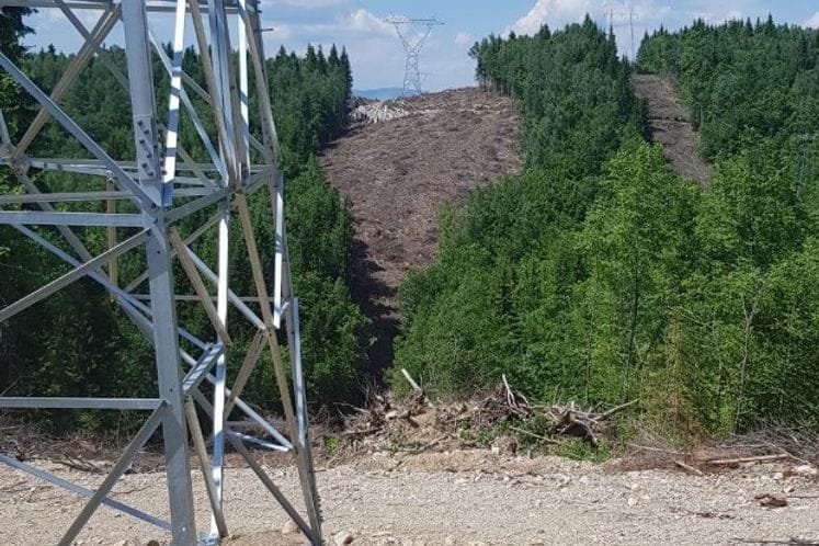 Koordinacioni tim Vlade: Nastaviti odlučno u spriječavanju bespravnih aktivnosti u šumarstvu