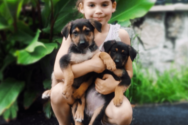 Promocija kampanje za odgovorno držanje pasa u EU info centru