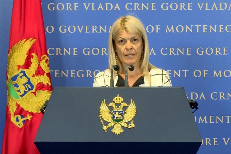 Vlada Crne Gore podržala uspostavljanje novih centara izvrsnosti