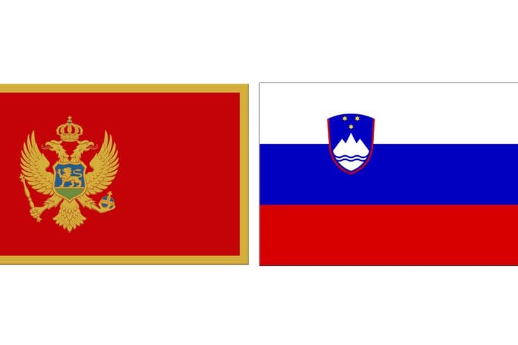 Konkurs za sufinansiranje naučne i tehnološke saradnje između Crne Gore i Republike Slovenije