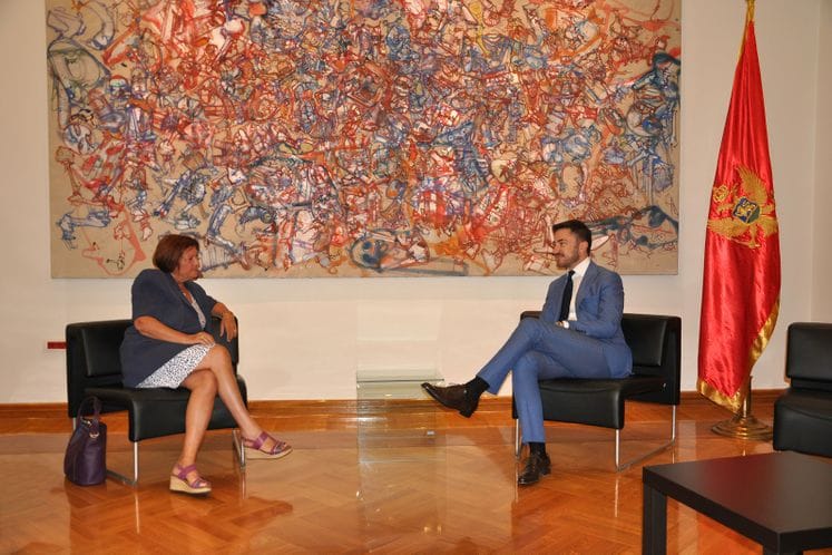 Ministar Bogdanović – ambasadorka Tudik: Rezidencijalni programi u Parizu od posebnog značaja za umjenike iz Crne Gore